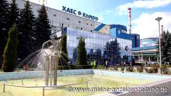 US-Konzern baut neuen Atomreaktor in der Ukraine – „größte Erholung seit dem Zweiten Weltkrieg“