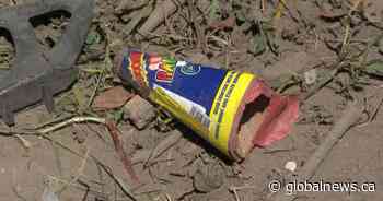 ‘There are rules’ around where, when fireworks can be lit in Hamilton