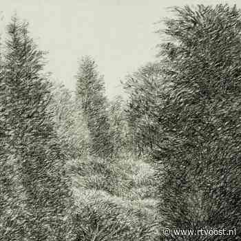 Onbekend bij het grote publiek, maar de tekeningen van Kees Stoop behoren tot de beste van Nederland