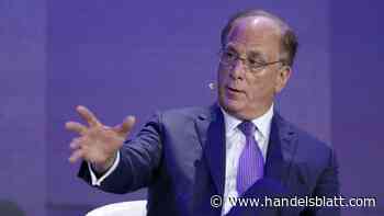 Investmentfonds: Blackrock-Chef: Stromhunger der KIs bietet Investionsgelegenheiten
