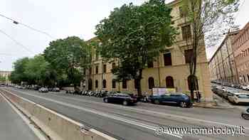Viale Manzoni dice addio a 17 olmi: "Sono gravemente danneggiati"