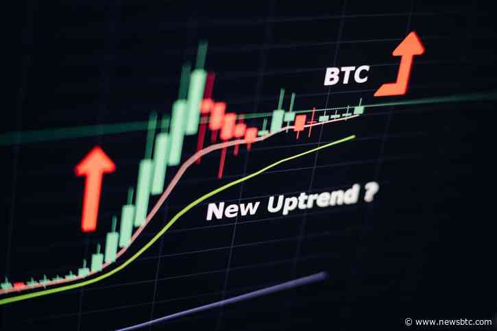 Crypto Expert Willy Woo Predicts Bitcoin Has Room To Run – Here Are The Drivers