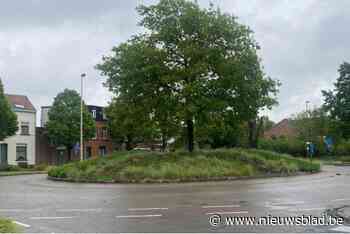 Rotonde Berkenrijslaan wordt heraangelegd voor extremere weersomstandigheden