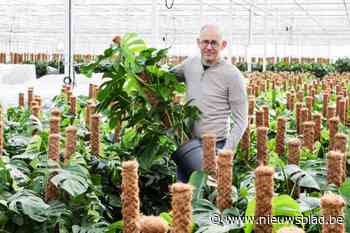 Kweker gunt zeldzame blik in normaal afgesloten serre: verdwalen in immens tropisch plantenwoud