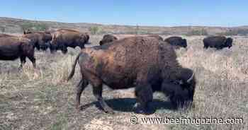 This Week in Agribusiness, May 18, 2024