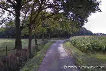 Wandelaar (67) dood teruggevonden in gracht: “Onderzoek wetsdokter is nog aan de gang”