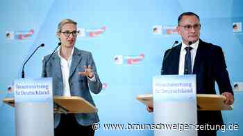 AfD-Verbot: Grüne wollen schon mal Belastungsmaterial suchen