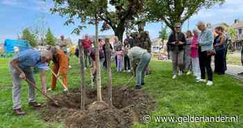 Het plein van dit dorp is nét af, maar van bewoners mag het wel wéér op de schop