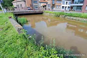 Halen houdt Velpe nauwlettend in de gaten: “Als het kritiek wordt, staan we klaar”
