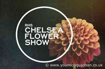 How to watch the 2024 RHS Chelsea Flower Show on TV
