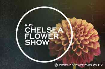 How to watch the 2024 RHS Chelsea Flower Show on TV