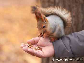 Customer Trust: The Backbone of Digital Age