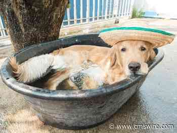 5 Refreshes to Boost Creative B2B Marketing Strategies