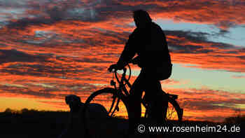 Hund wird von Radfahrer überfahren, schwer verletzt und eingeschläfert