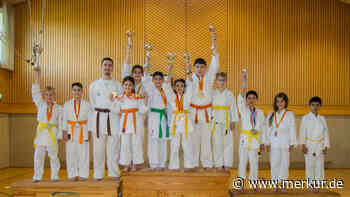 Karate-Sportler des SV Steinheim räumen bei „Schwaben Open“ ab