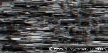 ‘Noise’ In The Machine: Human Differences In Judgment Lead To Problems For AI