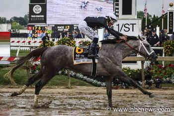 Seize the Grey wins Preakness Stakes, ruining Mystik Dan’s Triple Crown bid