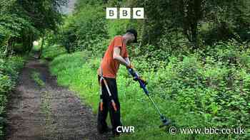 The volunteers looking after Cawston's disused railway