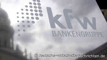 Kreditanstalt für Wiederaufbau in der Kritik, nutzt Potenzial unzureichend