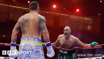 Fury was boxing like he had won the fight - Lewis