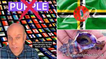 Revealed: The surprising reason why almost no national flags feature the colour purple