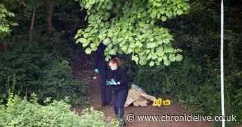 Ovingham river incident updates: Boy, 14, dies and boy, 13, in critical condition in hospital