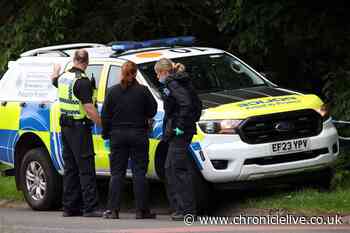 Boy, 14, dies and boy, 13, in critical condition in hospital after teens get into difficulty in River Tyne