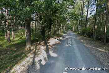 Spoorwegdreef afgesloten door snoeiwerken