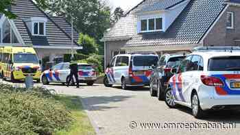 112-nieuws: gewonde na val van trap • hond beloond na voorkomen ramp