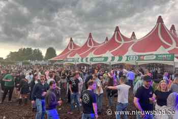 Gladiolen 2024 zijn geplukt: “Topeditie ondanks plensbuien en soms natte weide”