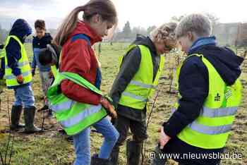 Zilveren label voor meer dan vijf hectare aan nieuw bos in Boechout