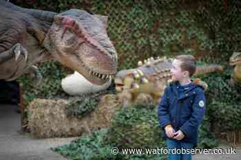 Dino Ventures at Willows Activity Farm this May half-term