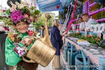 Kermiskraam op Gedempte Zuiderdokken geeft gratis groen weg