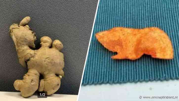 Van caviachip tot gemberkameel, Marktplaats maakt van ons gekke handelaren