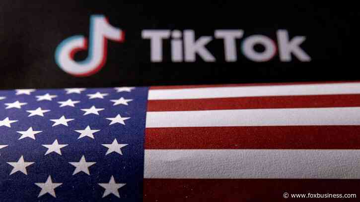 Biden admin, TikTok ask court to fast-track pivotal ruling to decide fate of social media platform