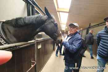 Geen Jessica Springsteen, wel veel volk voor boerderijdag in Gruitrode