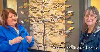 David Cassidy fan club remembers star with memorial leaf at Northumberland nature reserve