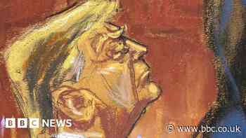 Have Trump prosecutors made their case at hush-money trial?