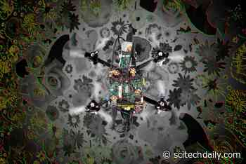 The Future of Flight: Researchers Develop Neuromorphic Drones That Learn Like Animals