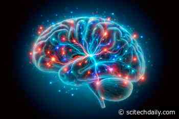 How a Newly Mapped Brain Circuit Could Transform Panic Disorder Treatment