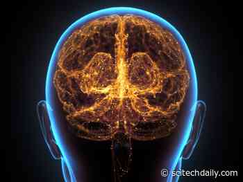 New UCLA Research Reveals That Practice Significantly Rewires the Brain