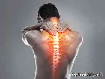 Scientists Discover Potential Opioid Replacement for Back Pain