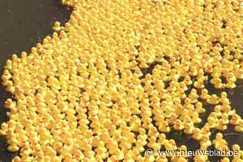 Duckrace keert terug naar Lier met volledig feestweekend