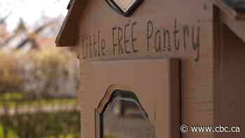 WATCH | In Thunder Bay, neighbours share more than a cup of sugar to fight food insecurity