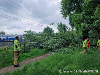 Brandweer verwijderd omgevallen boom langs spoorlijn