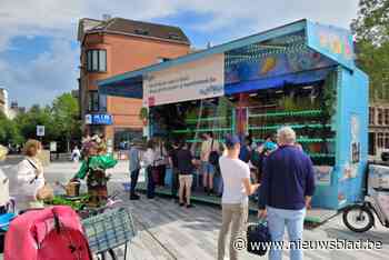 Buurt in bloei-kermiskraam strijkt neer in Zuidpark: gratis planten en groengadets