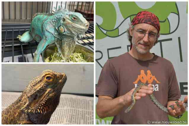 Zwaar verwaarloosde reptielen gevonden na faillissement: “Dieren al maanden aan lot overgelaten”