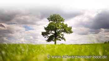 Unwetter im Ländle: Auf Sonne folgen wieder Regen und Gewitter