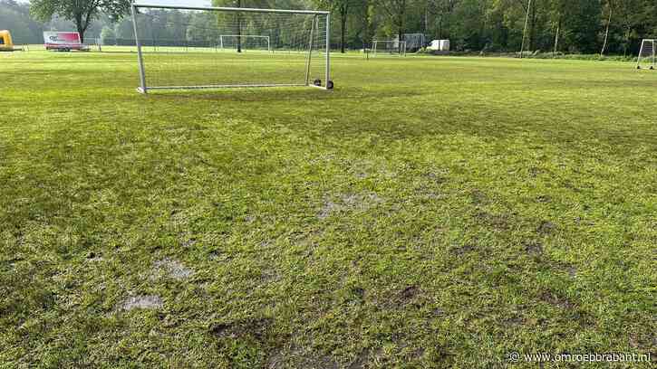 Tot de enkels in het water: V.V. Vessem last voetbaltoernooi af