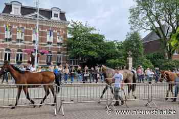 IN BEELD. Jaarmarkt van Borsbeek blijft ook na 74 jaar erg populair